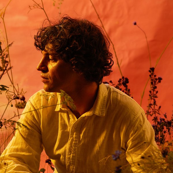 Banner-Cosmo-Sheldrake