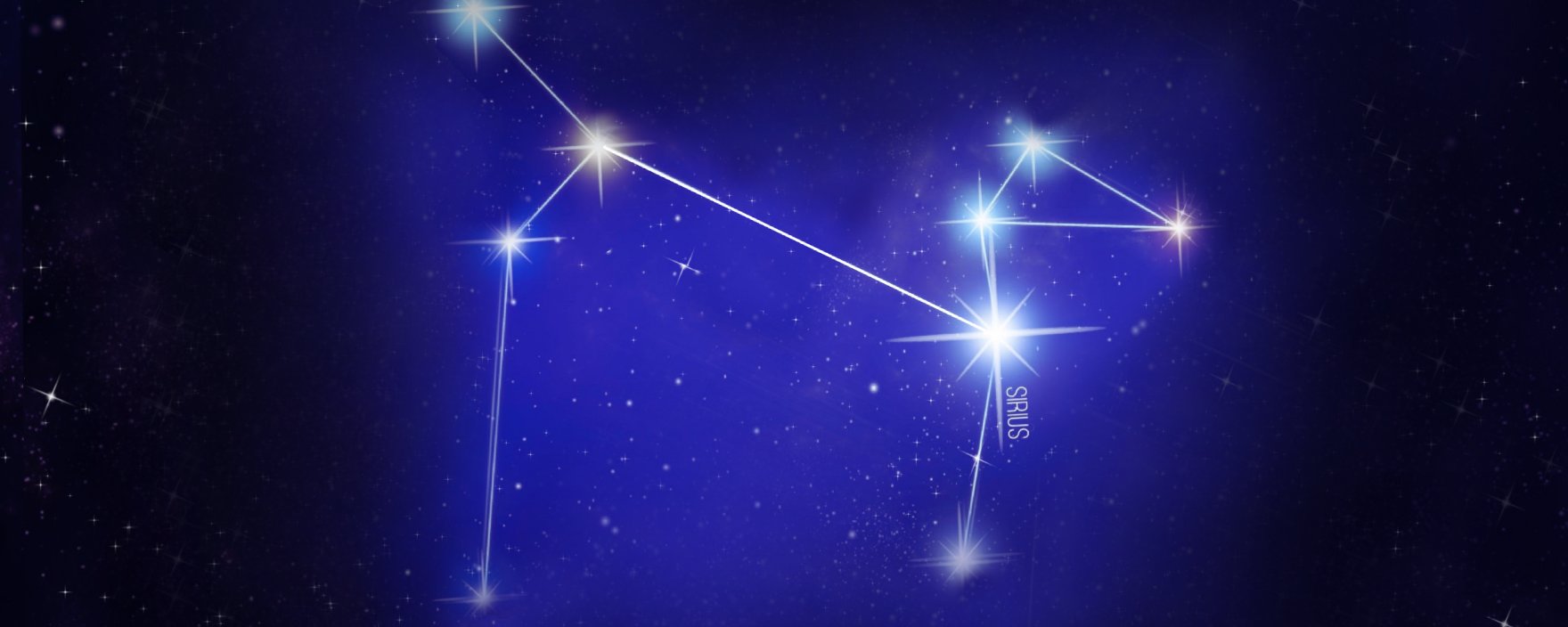 The Curious Incident of the Dog in the Night-time