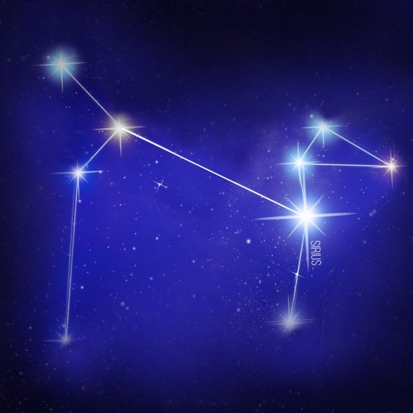 The Curious Incident of the Dog in the Night-time