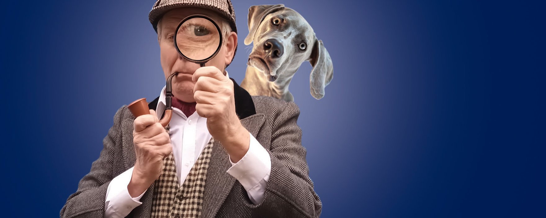 Hound of the Baskervilles