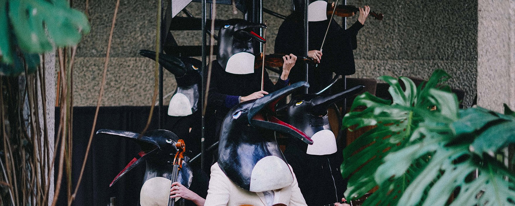 Music from the Penguin Cafe