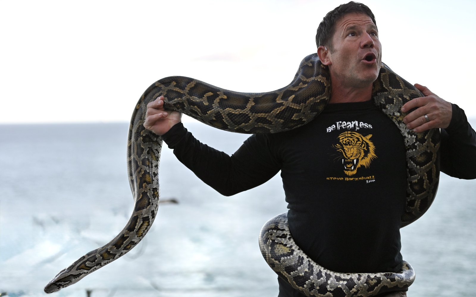 Steve Backshall
