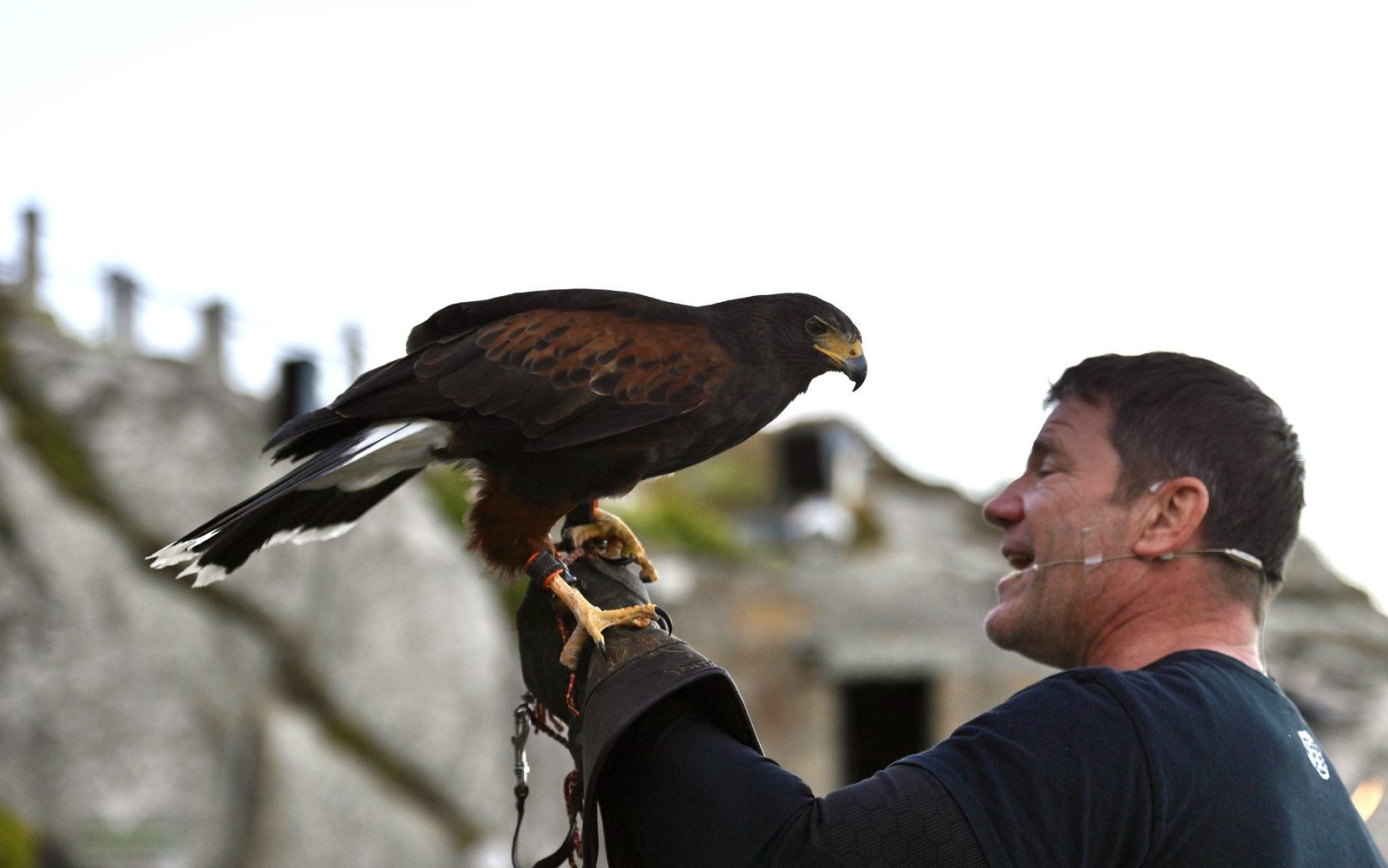 Steve Backshall