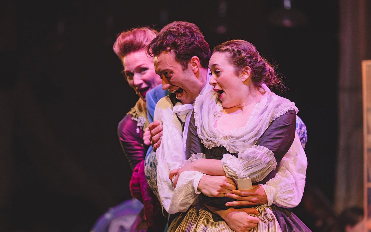 The Marriage of Figaro - Wild Arts