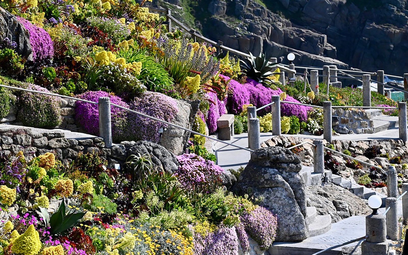 Minack garden terraces