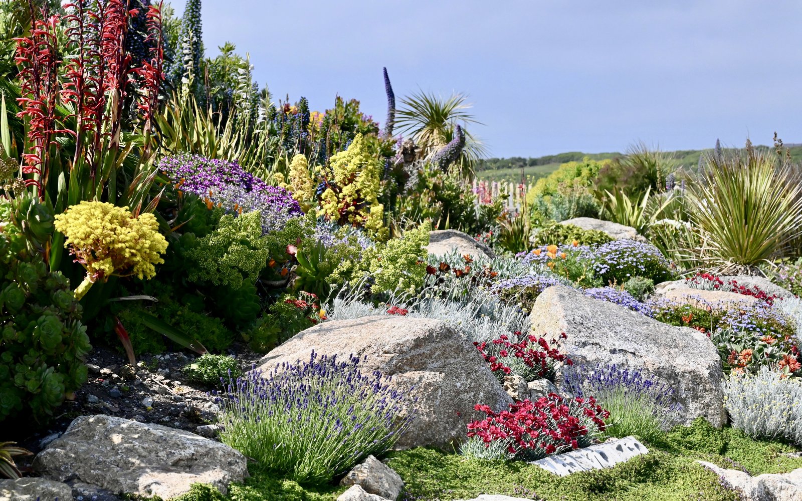 Mixed Border at the top of the theatre